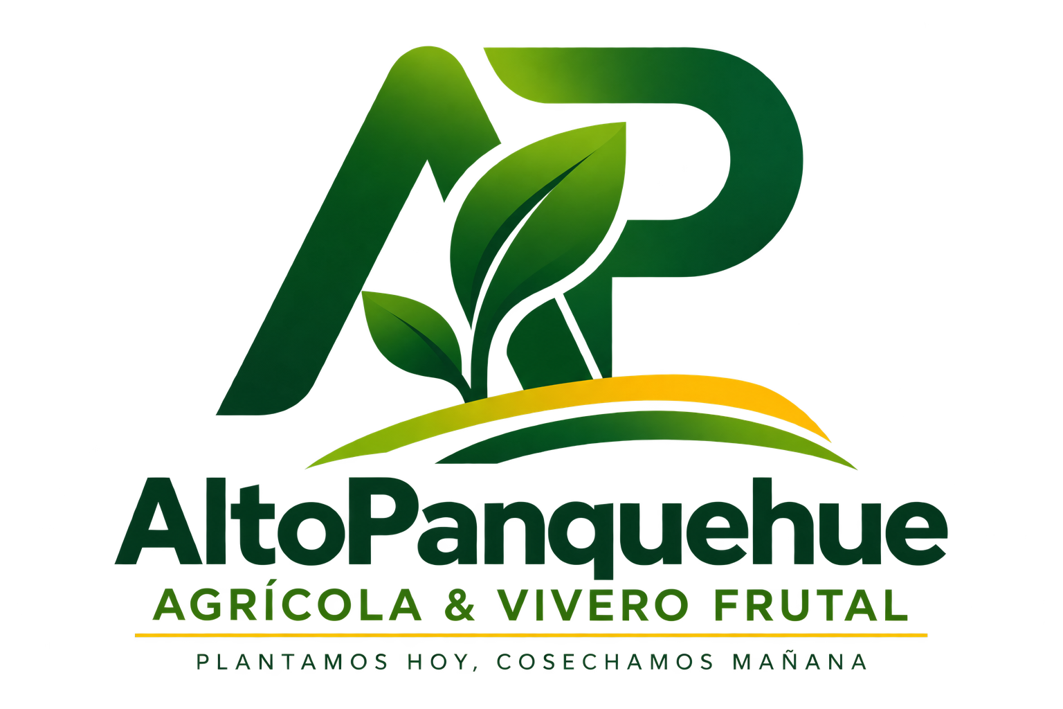 Alto Panquehue